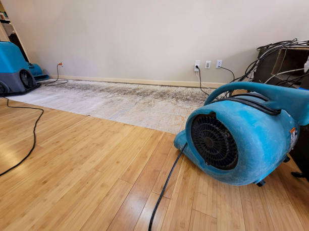 Professional Structural Drying technician working in Williston, FL